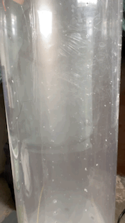 97e48c7b-6a48-459d-92ae-497af72c63e0.gif 97e48c7b-6a48-459d-92ae-497af72c63e0.gif