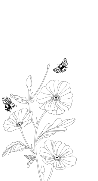 beevisioninnenwand.png beevisioninnenwand.png