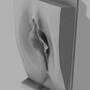 vulva_4.jpg