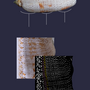 conus_nussatella_poster.png