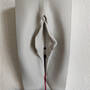 vulva_front_rotiert.jpg