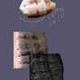 conus_arenatus_poster-001.png