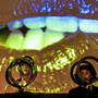 dsc3207.jpg